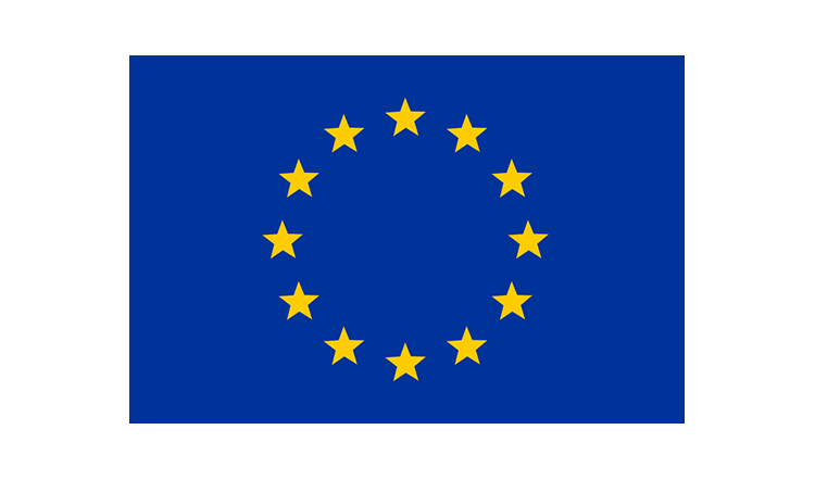 The Idea Bridge. EU funded.